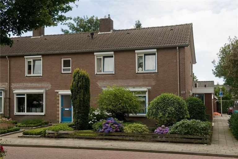 Wilhelminastraat 43
