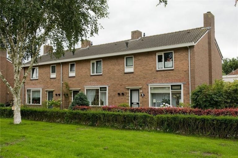 Buizerdstraat 25