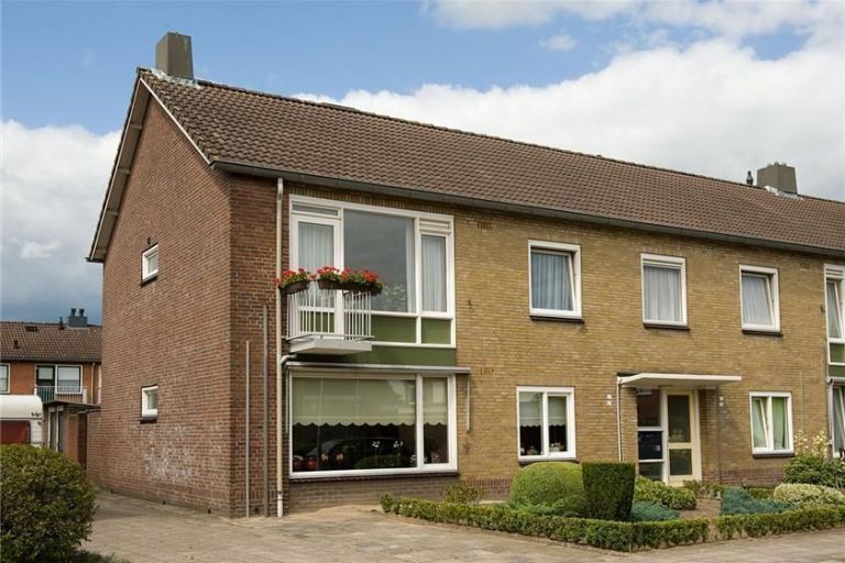 Tulpstraat 31