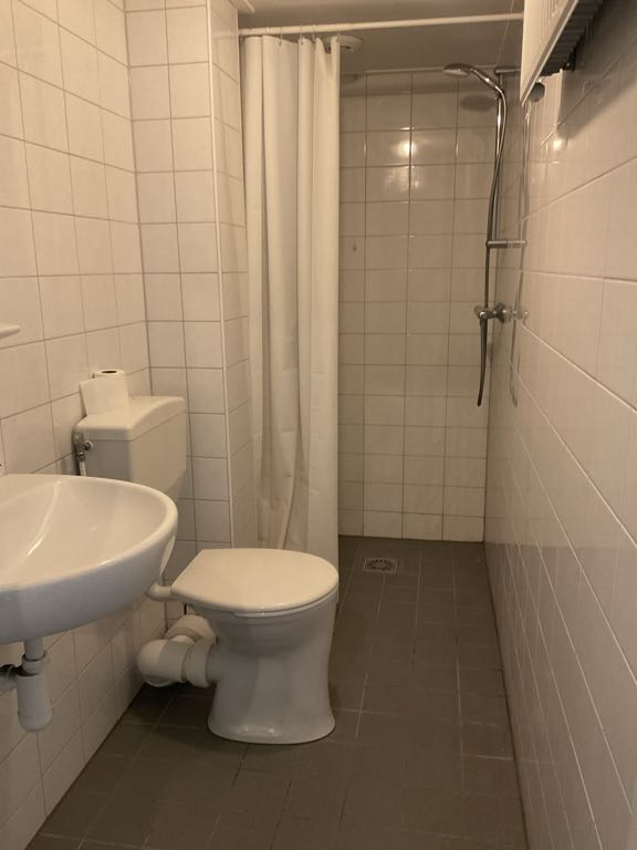 Pieter Breughelstraat 19