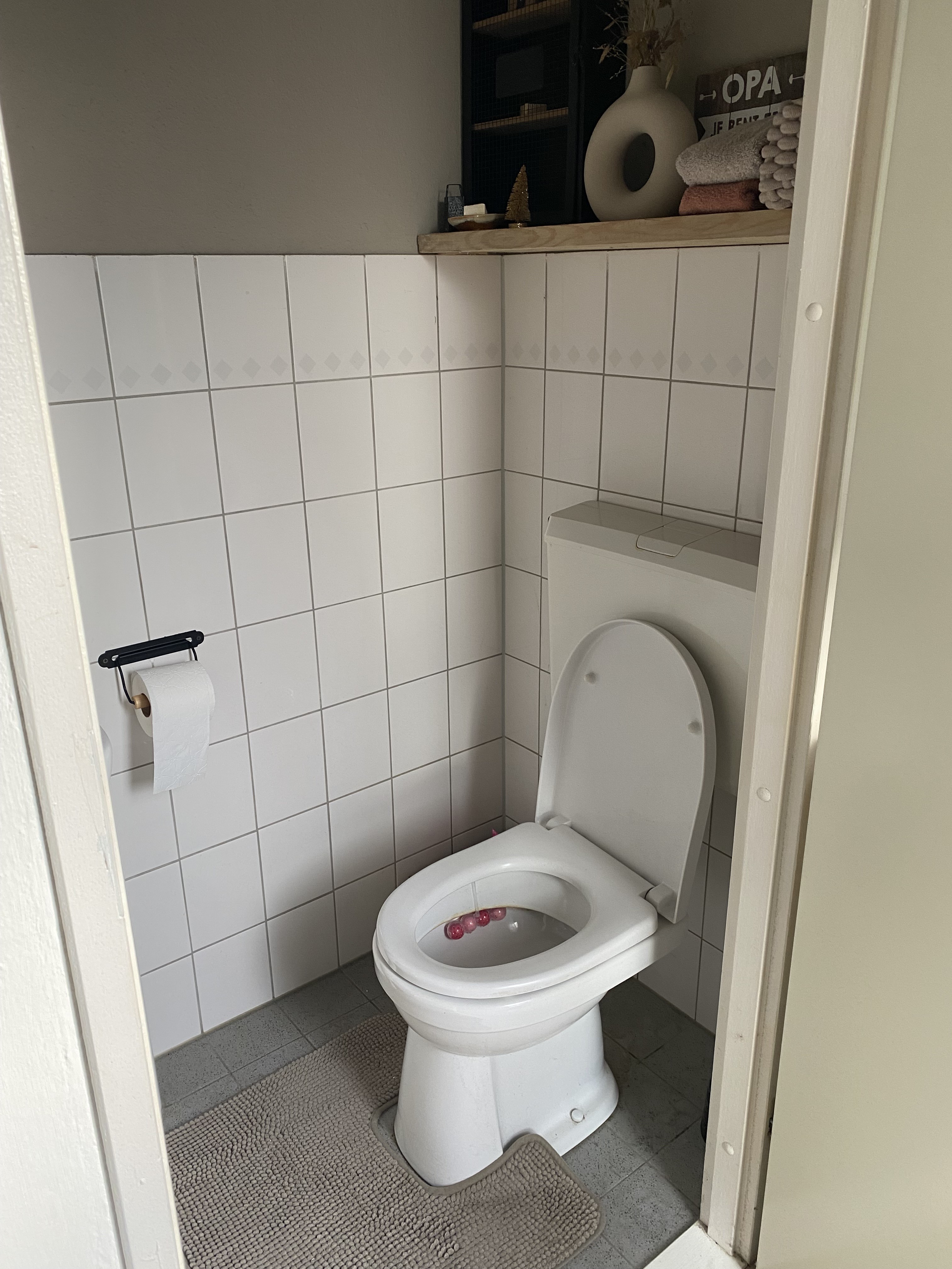 Louis Bouwmeesterstraat 11