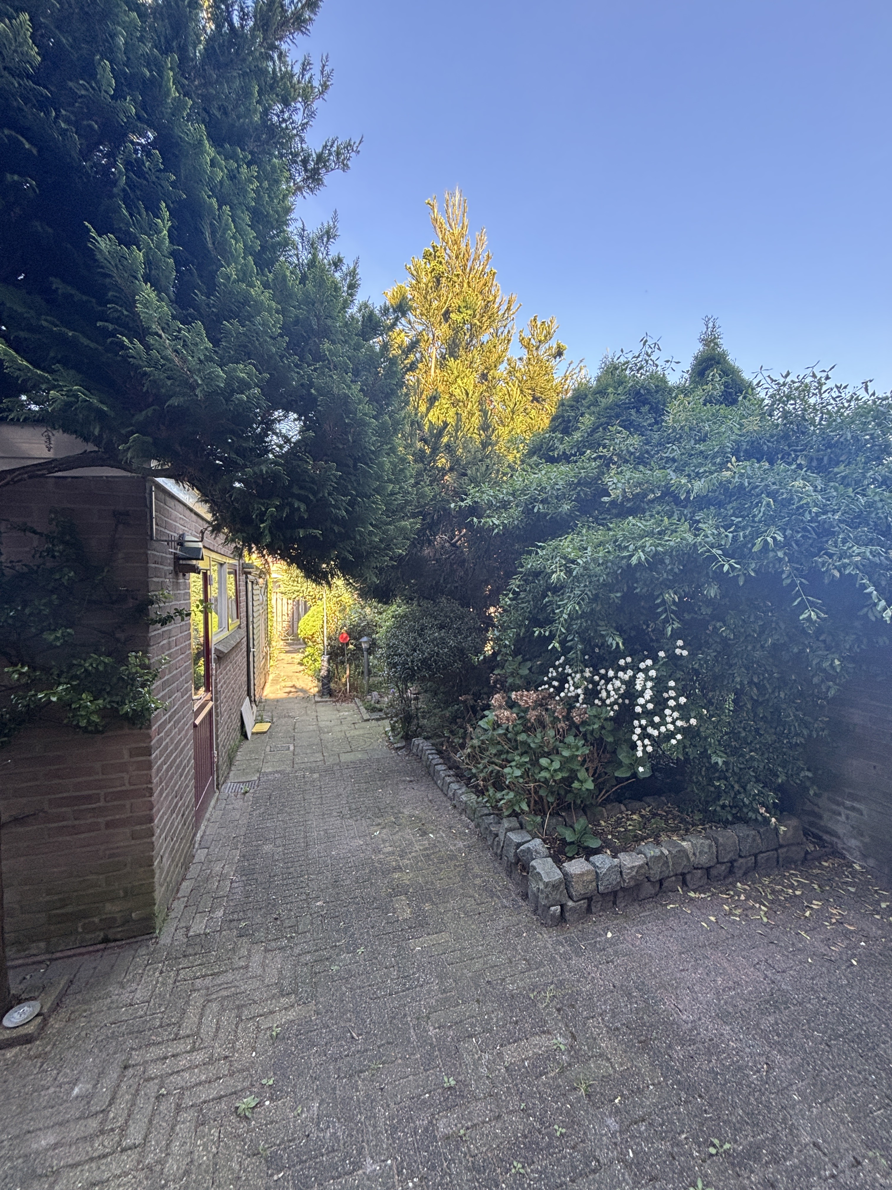 Roerdompstraat 3