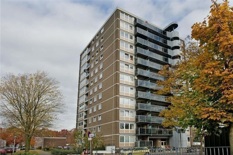 Meeuwenstraat 46, 7523 XW Enschede, Nederland