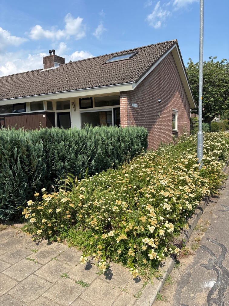 De Ruiterij 36, 7091 WX Dinxperlo, Nederland