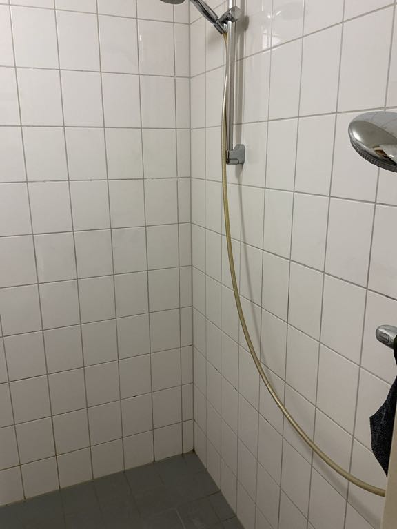 Boomgaard 7