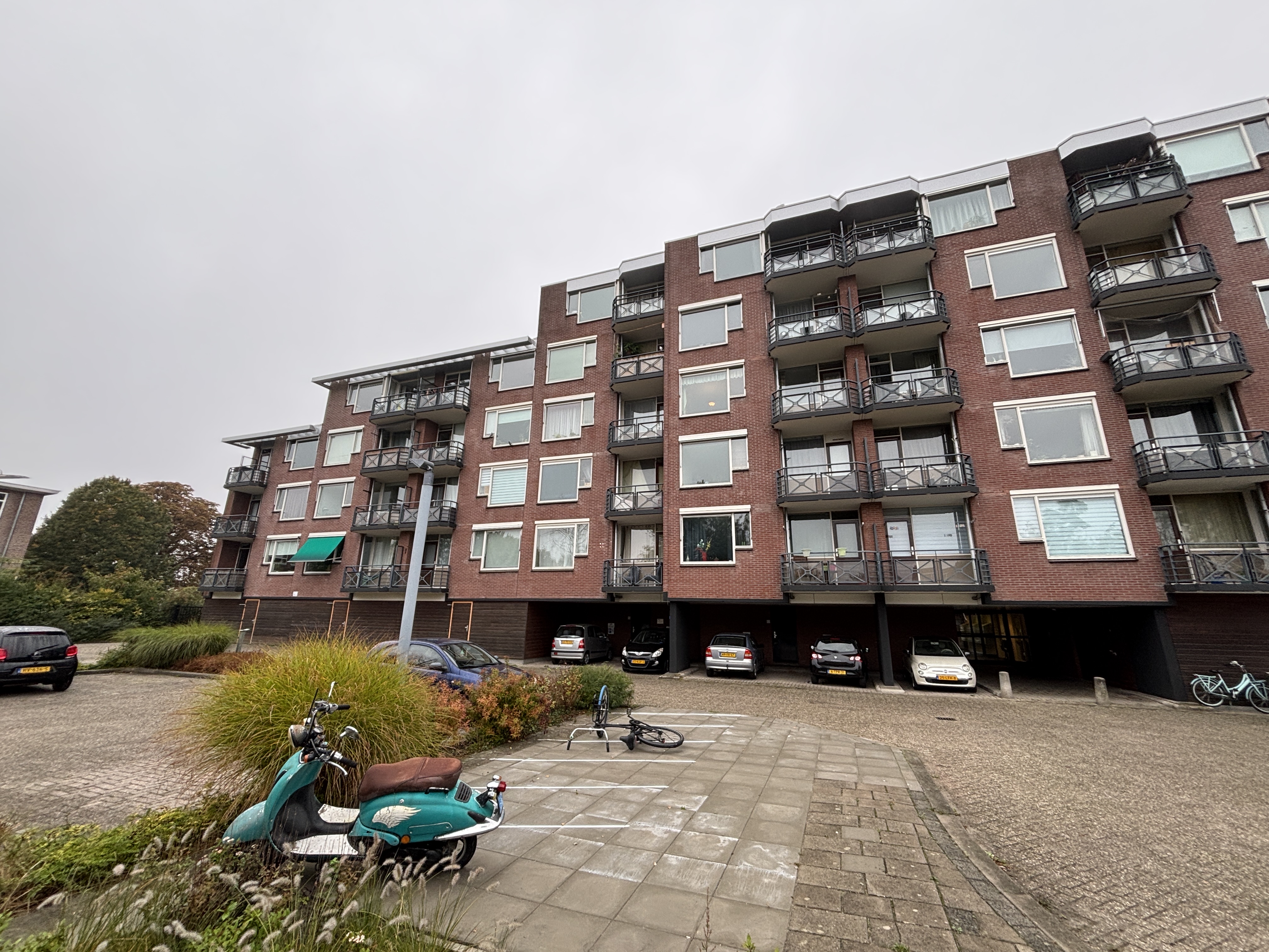 Hoge Bothofstraat 238