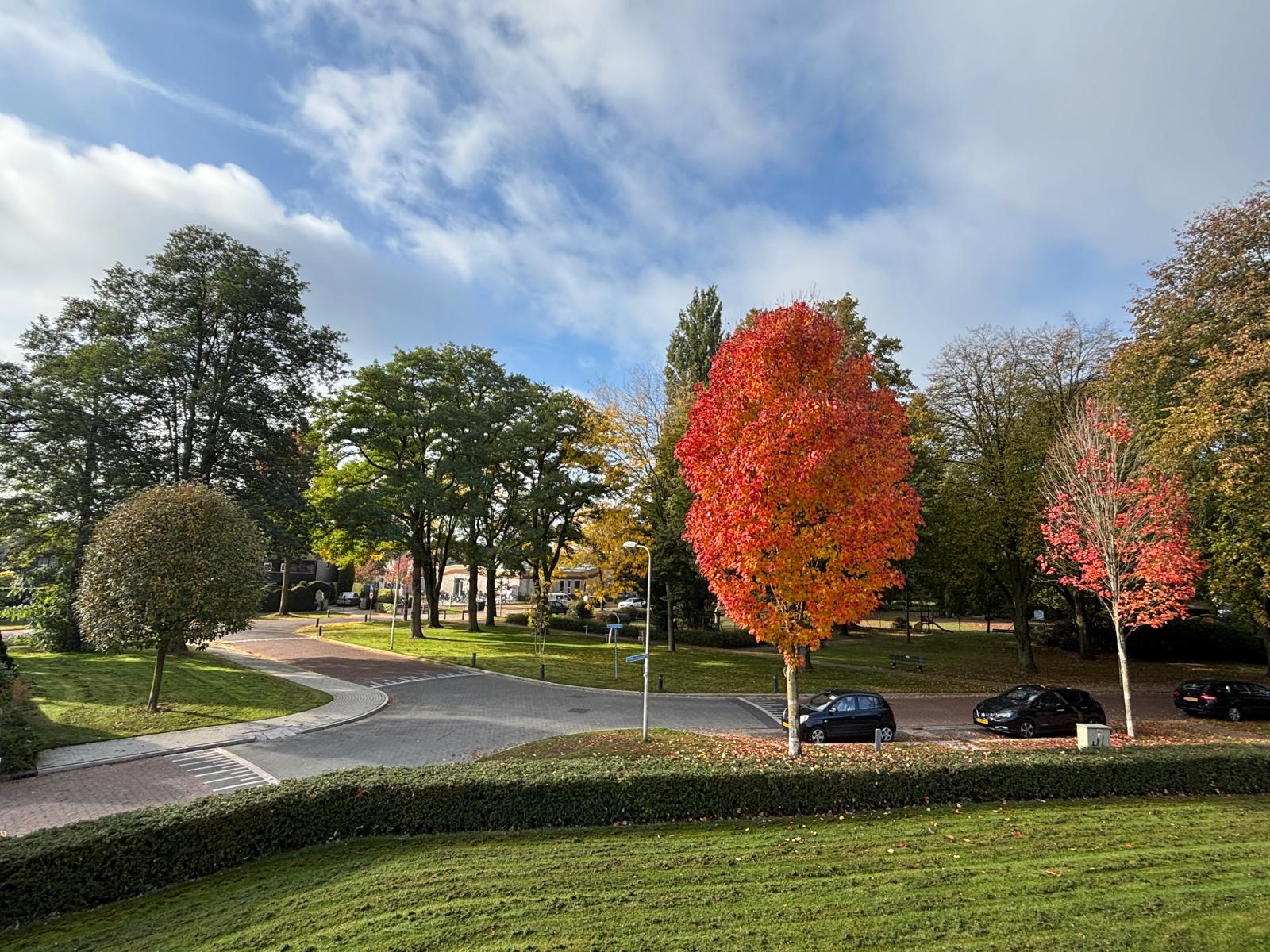 Diessenplasstraat 83