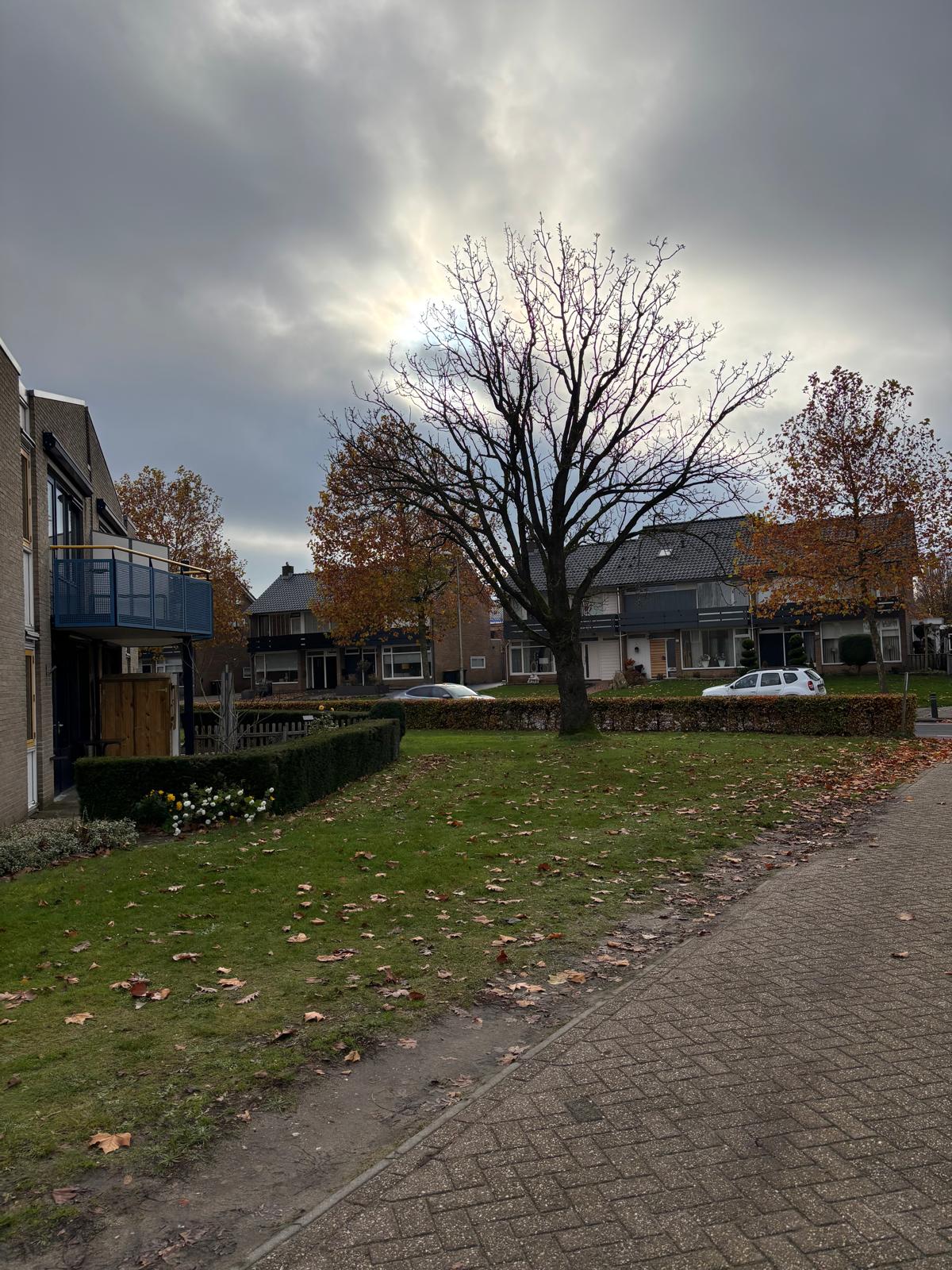 Wijnand Zeeuwstraat 72