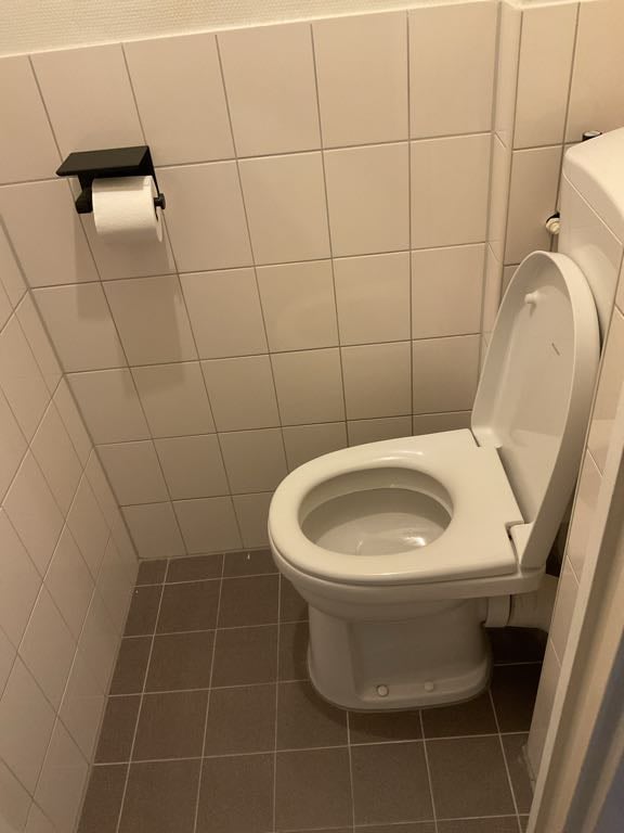 Goudenregenstraat 226