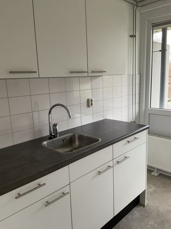 Peter Rubensstraat 113