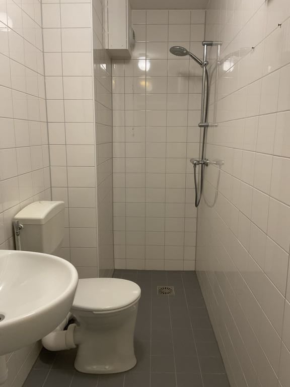 Peter Rubensstraat 113