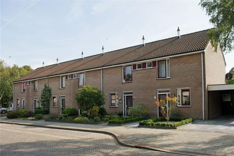 IJsvogelstraat 11