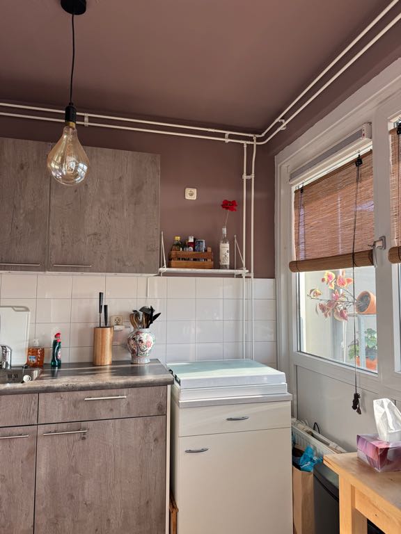 Pieter Breughelstraat 103