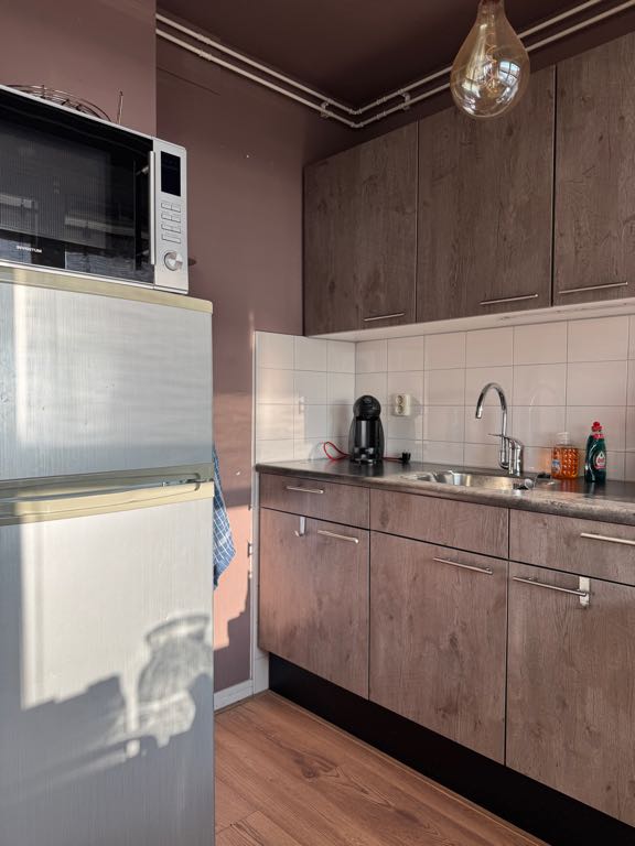 Pieter Breughelstraat 103