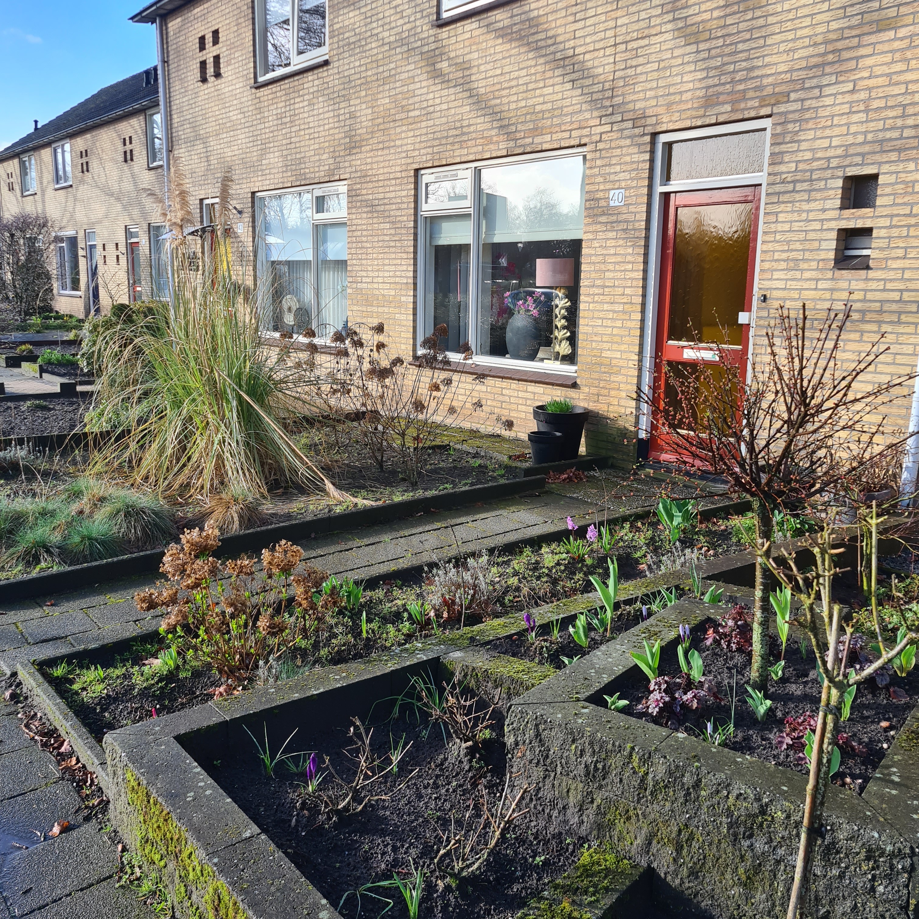 Roelf Bosmastraat 40