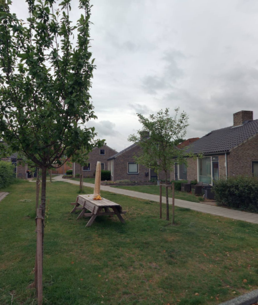 Krokuspad 19, 7555 CT Hengelo, Nederland