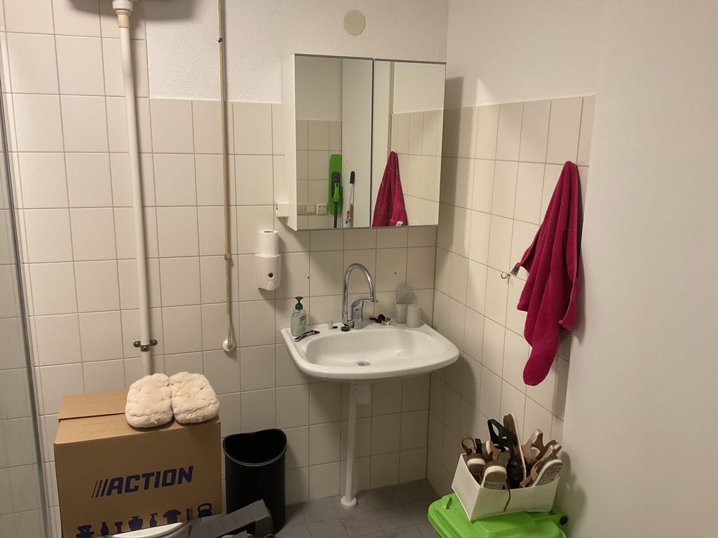 Canadian Grenadier 11