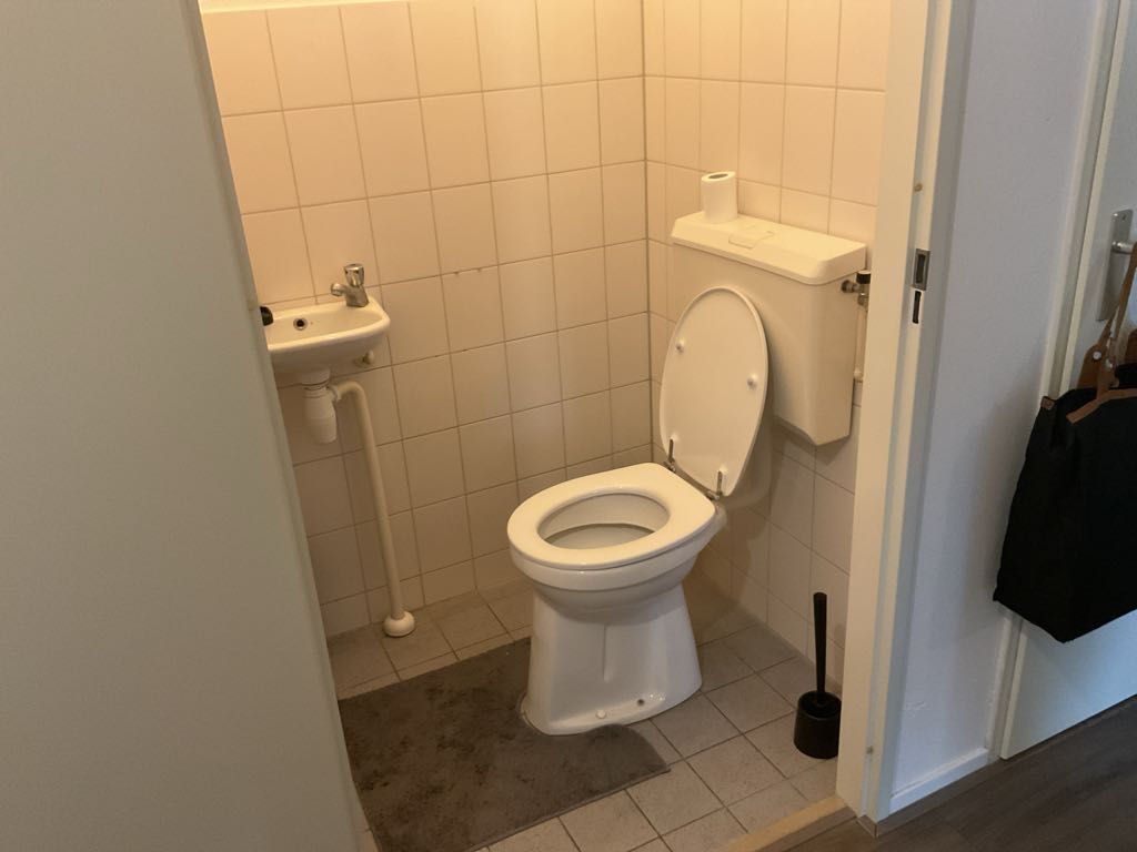 Canadian Grenadier 11