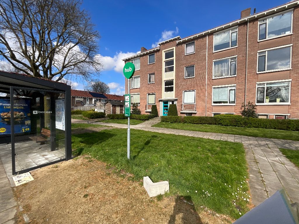 Dotterbloemstraat 114