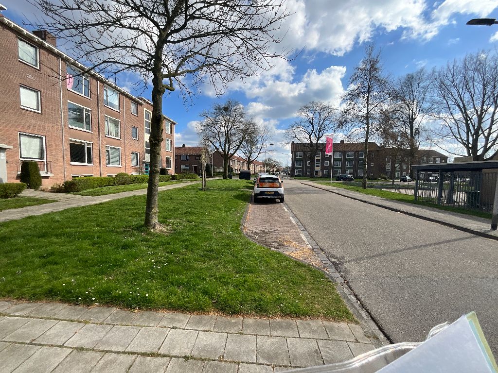 Dotterbloemstraat 114