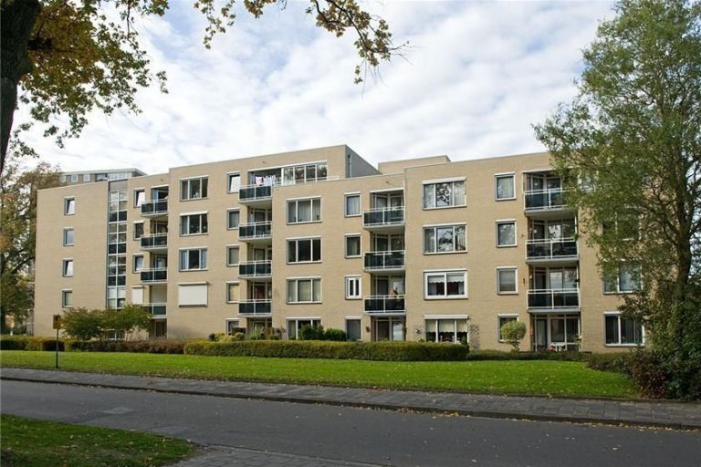 Buizerdstraat 4