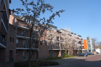 Laurier 100, 7443 GH Nijverdal, Nederland
