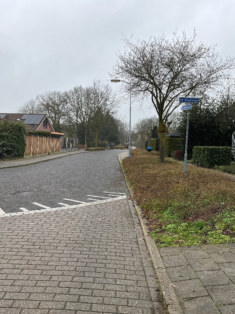 Zilversmid 44