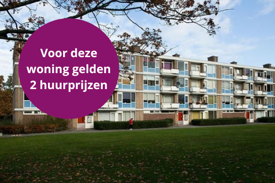 Waalstraat 52