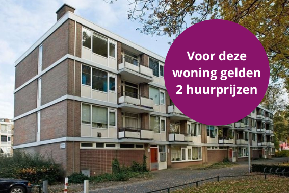 Waalstraat 52