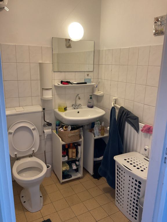 F. Zernikestraat 173