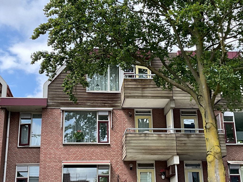 Zonnebrink 164