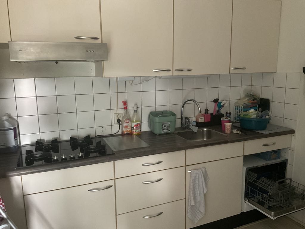 De Dorsmolen 61