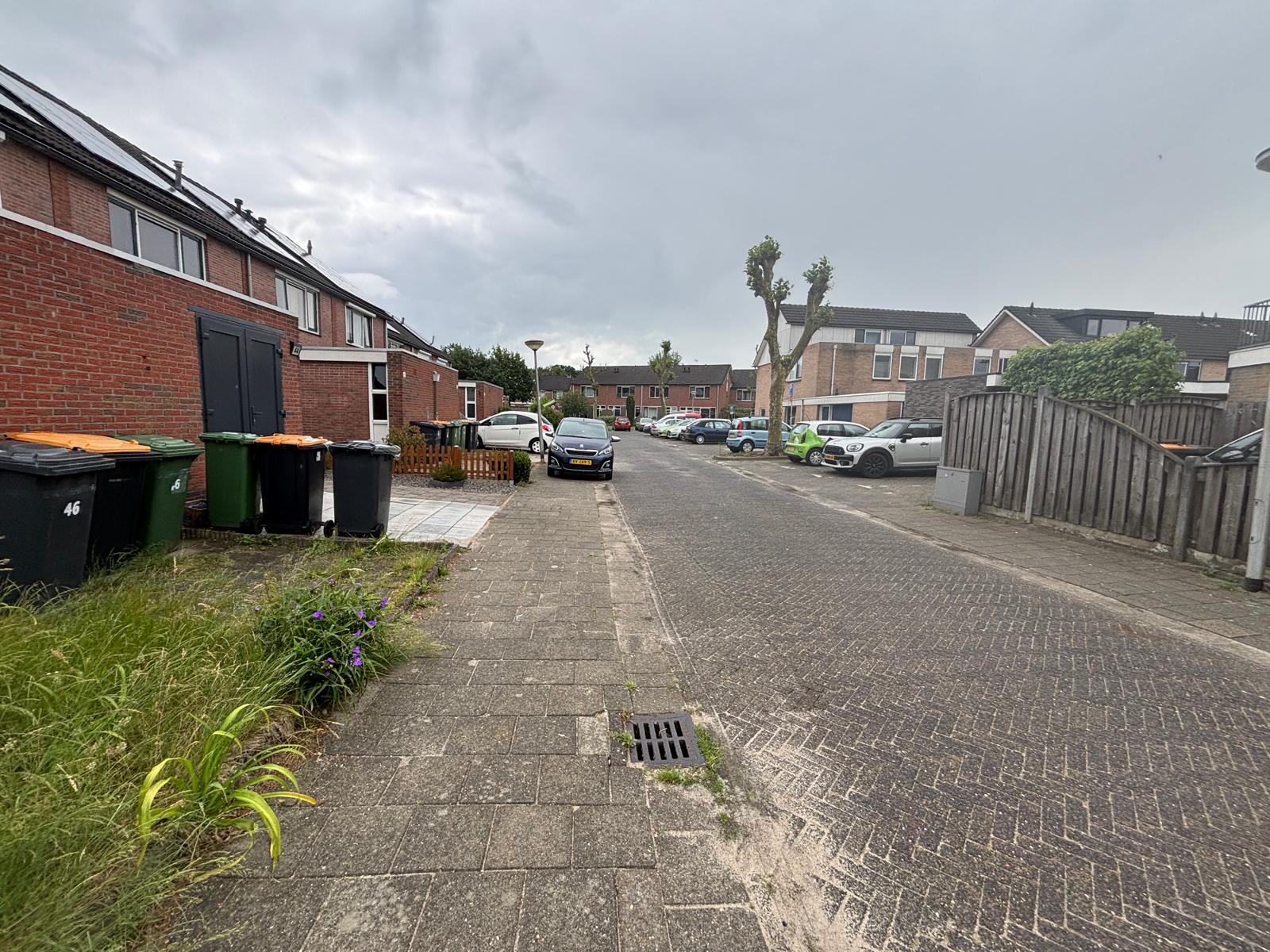Broedersdijk 46