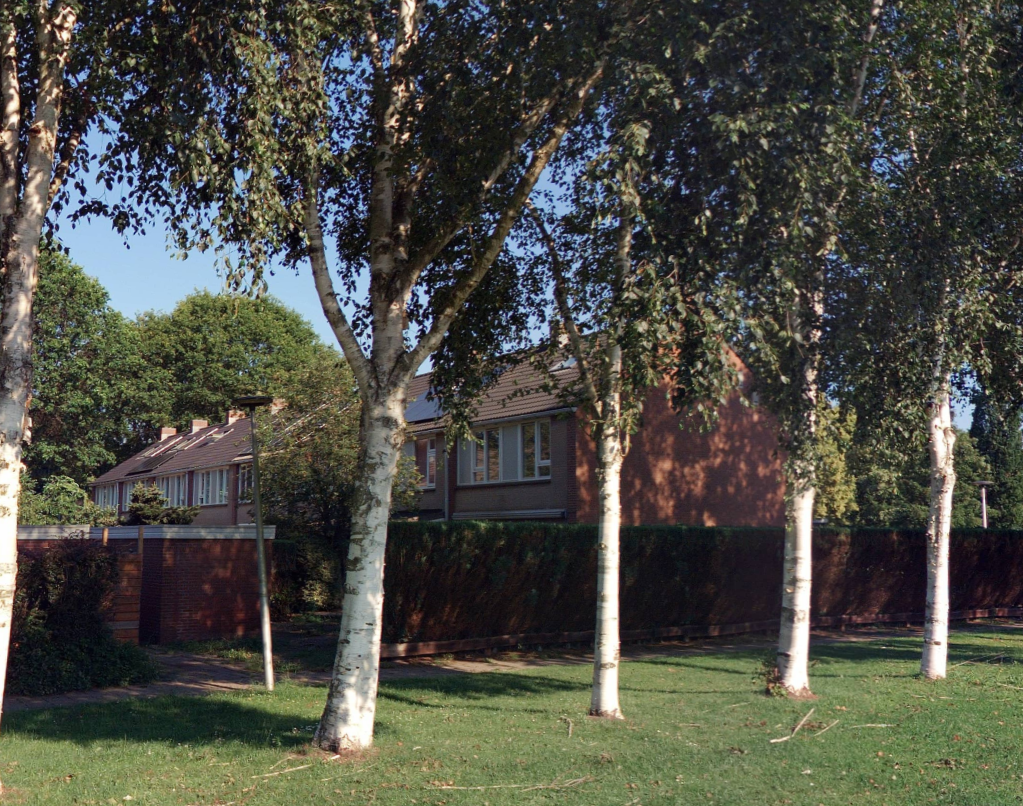 Jacques Perkstraat 16