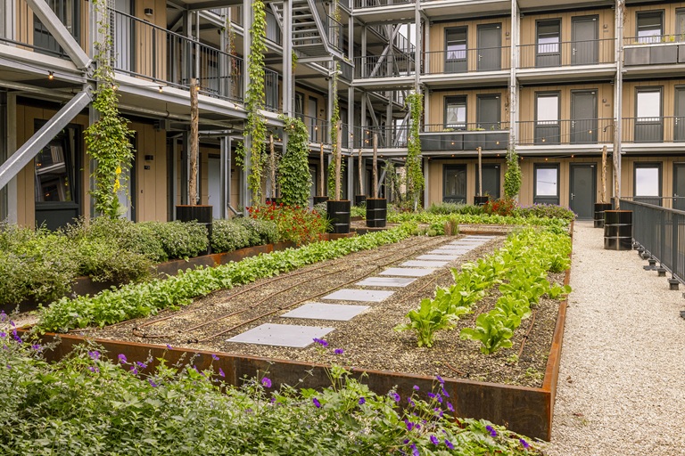 Hoge Bothofstraat 25