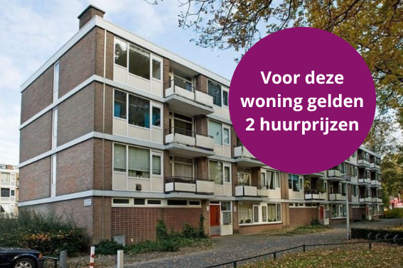 Dollardstraat 34